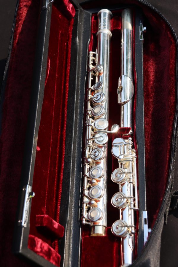 Samperi Harmonic Flute – Vibrant Sound & Unmatched Playability - Image 8