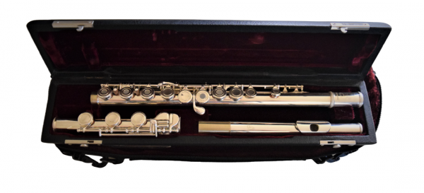 Samperi Harmonic Flute by Haynes Amadeus