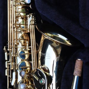 Luke Penella Gold plated Alto Saxophone