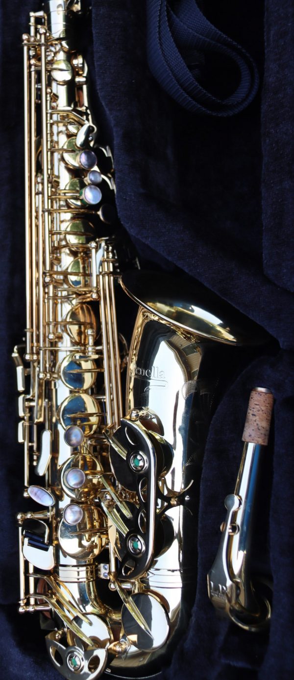 Luke Penella Gold plated Alto Saxophone