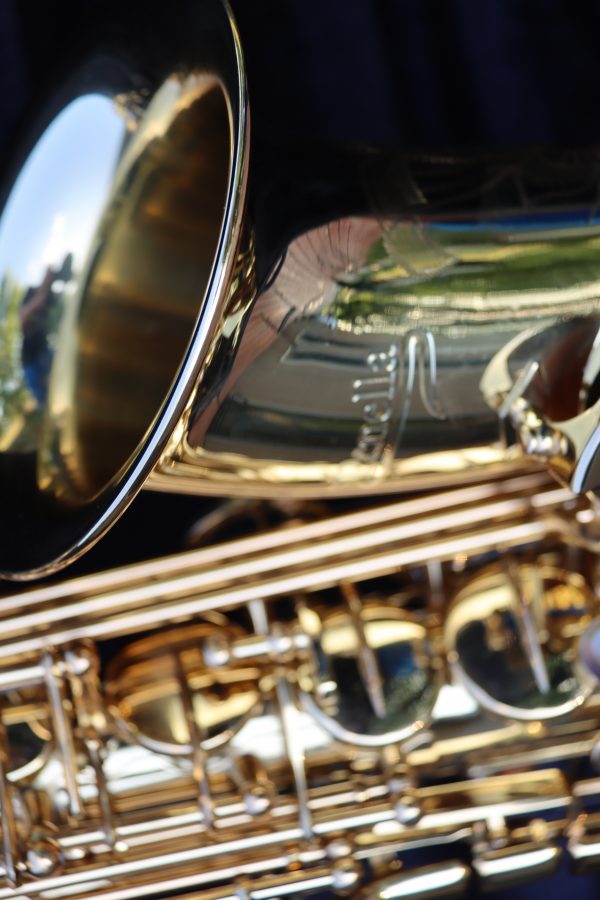 Luke Penella Double Gold Plated Alto Saxophone – Rich Sound & Elegant Design - Image 6