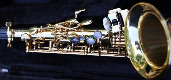 Luke Penella Double Gold Plated Alto Saxophone