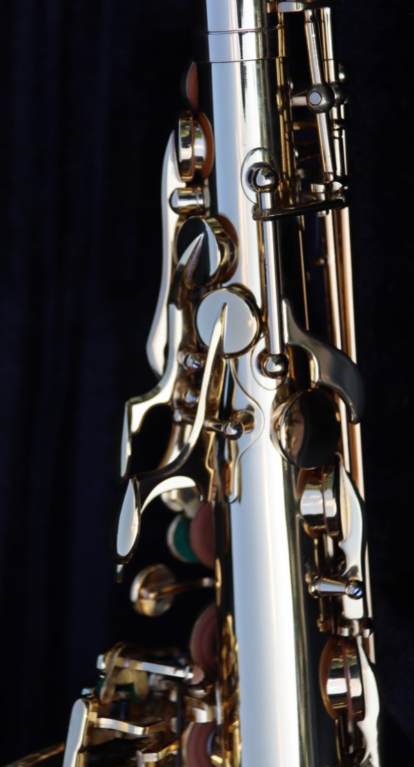 Luke Penella Double Gold Plated Alto Saxophone – Rich Sound & Elegant Design - Image 5