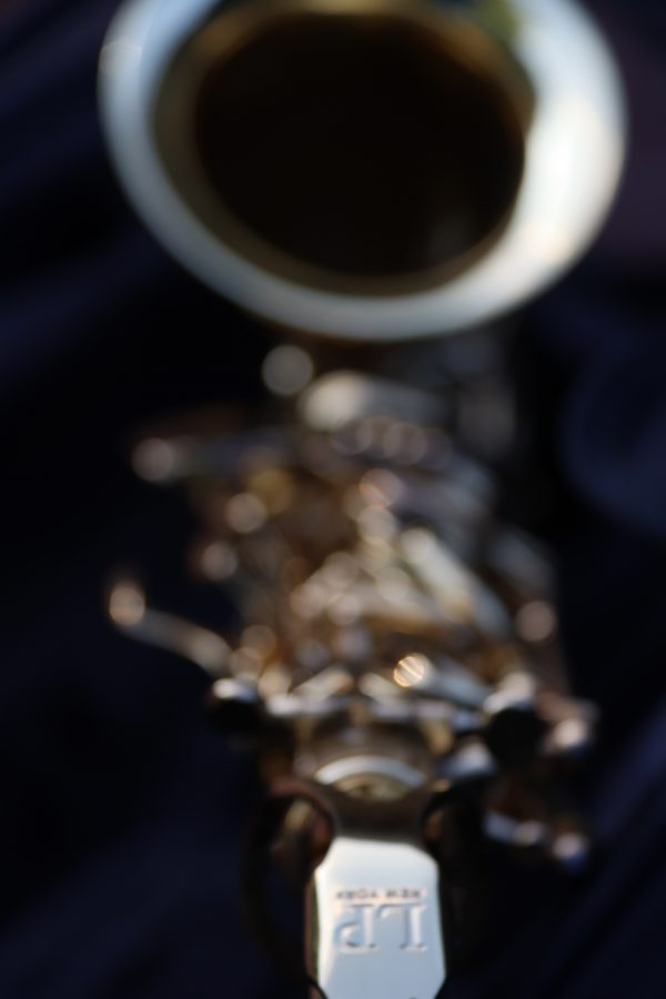 Luke Penella Double Gold Plated Alto Saxophone – Rich Sound & Elegant Design - Image 4