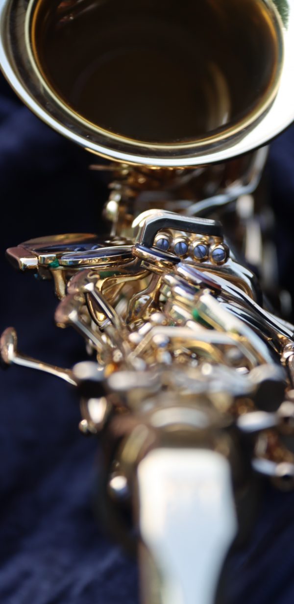 Luke Penella Double Gold Plated Alto Saxophone – Rich Sound & Elegant Design - Image 3